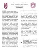 Músculo Esquelético