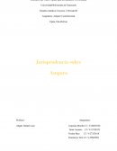 Jurisprudencia sobre amparo