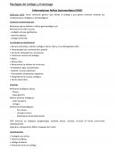 Patologías de esófago y estómago