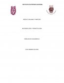 Pasteur y Koch- Medicina y Revolución