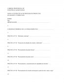 Manual de prácticas de procesos de productos