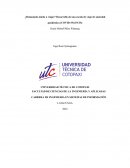 ¿Demasiado miedo a viajar? Desarrollo de una escala de viaje de ansiedad pandémica (COVID-19)
