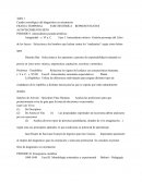 Cuadro cronológico del diagnóstico en orientación