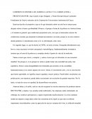Comisión económica de America Latina y el Caribe (CEPAL)