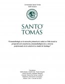 Fonoaudiología en la atención primaria de salud en Chile desde la perspectiva de usuarios/as