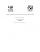 Ensayo de violencia de genero