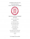 PAE- Proceso de atención de enfermeria