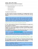 Planificación de la prevención en la empresa