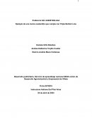 Ejemplo de una marca sostenible que cumpla con Triple Bottom Line
