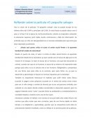 Reflexión sobre la película «El pequeño salvaje»