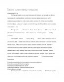 Subgrupo: gastro intestital y metabolismo