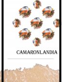 Plan de negocios para una empresa de camarón “Camaronlandia”
