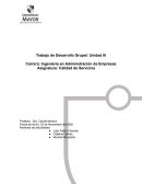 Trabajo 1 Calidad de servicios empresa “Cornershop”