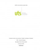 Análisis socioeconómico de Países Bajos