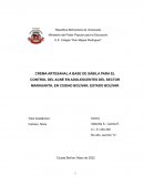 Proyecto. Elaboración de Crema a base de Sábila para el control del Acné