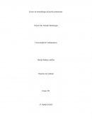 Ensayo de metodología del perfeccionamiento