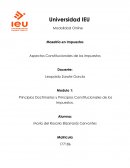 Aspectos Constitucionales de los impuestos