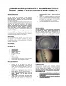 Liberacion de ADN en celular