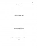 Riesgos relacionados con las condiciones de seguridad