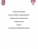 Facultades de comprobación. numeración y objetivos