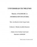 Análisis e interpretación de los estados financieros de Grupo Lala, S. A. B. de C.V. y estrategias de solución