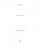 Caso Practico 1 Videojuegos SL