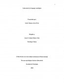 Laboratorio de lenguaje ontológico