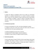 Trabajo de Investigación Grupal (TIG)