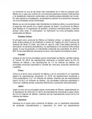 Reporte de evaluación a una organización