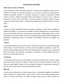 Aminoácidos y sumplementos