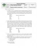 Ingeniería en Sistemas computacionales.Ejercicios para resolver