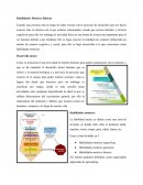 Habilidades Motrices Básicas