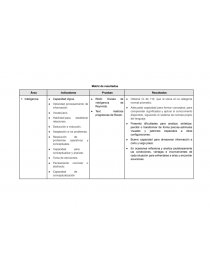 Modelo matriz de resultados. Página 1