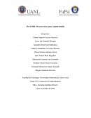 PIA FODE: Proyecto siete pasos Capital Semilla