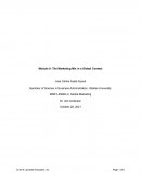 The Marketing Mix in a Global Context