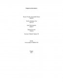 Empresa tesla motors