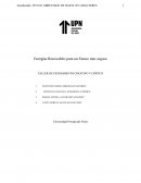 Energías Renovables para un Futuro más seguro