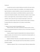 Sustentabilidad en el desarrollo empresa Iansa