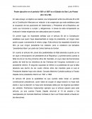 Análisis del poder ejecutivo en el periodo 1991 a 1999 en Mexico y ensayo sobre Dr. Salvador Nava