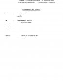 Actividades realizadas en la empresa Perú S.A.C. Servicio construcción de techo metálico