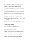 Desempeño del Ingeniero de Sistemas en las Organizaciones