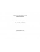 Evaluación de proyecto Proyectcel