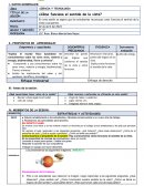 ¿Cómo funciona el sentido de la vista?