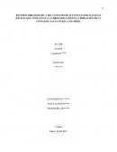 Revisión bibliográfica del consumo de sustancias psicoactivas ilicitas que conllevan a la drogadicción en la población de la Ciudad de Santa Marta, Colombia