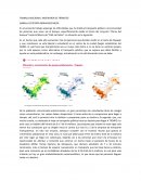 Ingeniería de tránsito