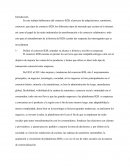 Que es el negocio B2B, tipos y denominaciones