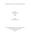 Informe segregacion y caracterizacion RSU