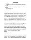 Plan de marketing Granitos Quintana S.L. optimización y ampliación de canales de venta