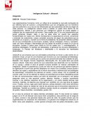 Inteligencia Cultural – Jikkosoft