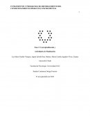 Conceptualización y Actividades de Finalización